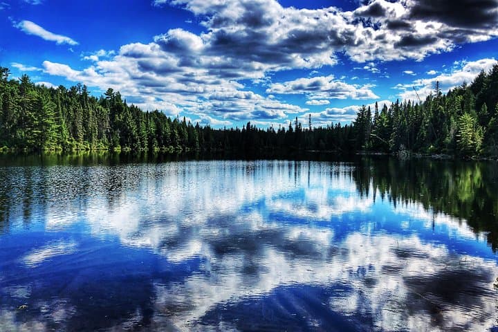 Exploring Algonquin Provincial Park: A Day Tour Escape from Toronto photo 5