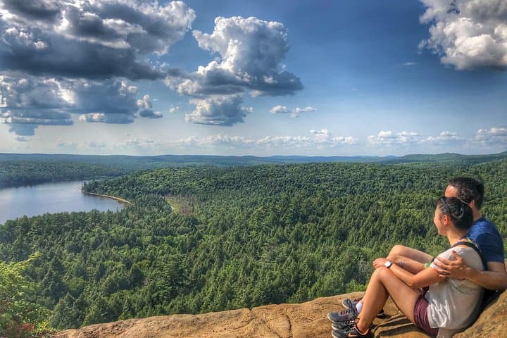 Exploring Algonquin Provincial Park: A Day Tour Escape from Toronto