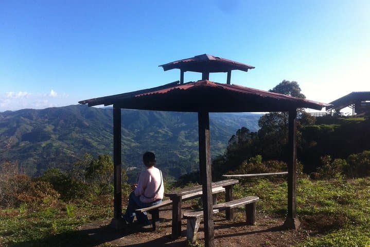 Medellín to Jericó: Full-Day City Tour and Jericó Coffee Farm Experience (Lunch Included) photo 4