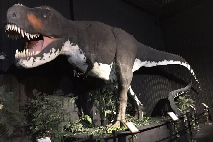 Exploring Branson Dinosaur Museum: Self-Guided Dinosaur Exhibits & Fossil Activities photo 3