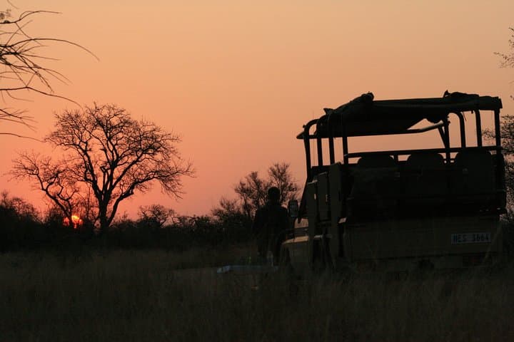 Morning Kruger National Park Safari: Half-Day Game Drive from Hazyview photo 4