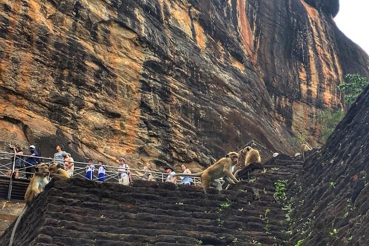 Sigiriya and Dambulla Day Tour from Marawila — Climb Lion Rock & Visit Dambulla Cave Temple photo 3