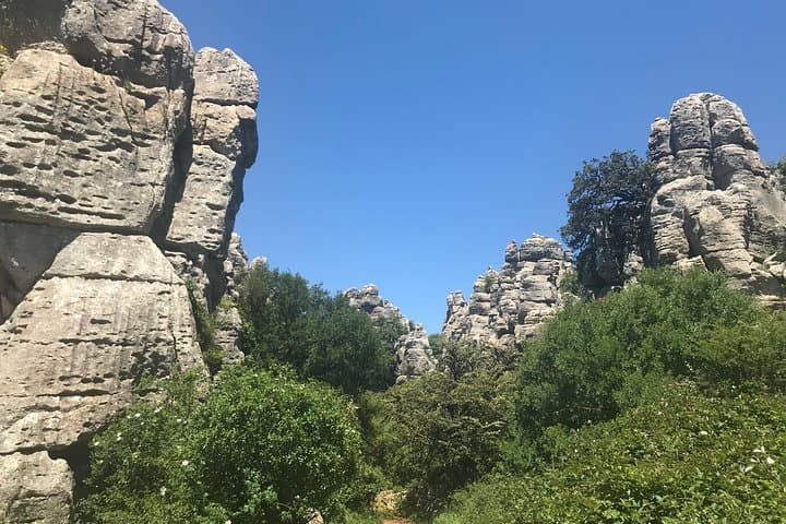 El Torcal Hiking Day Trip from Malaga: Karst Formations, Wildlife & Practical Tips photo 4