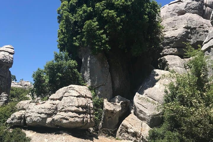 El Torcal Hiking Day Trip from Malaga: Karst Formations, Wildlife & Practical Tips photo 5