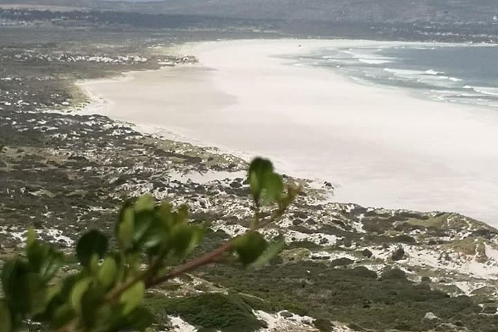 Cape Town Private City and Table Mountain Tour: Full-Day Scenic Experience photo 6