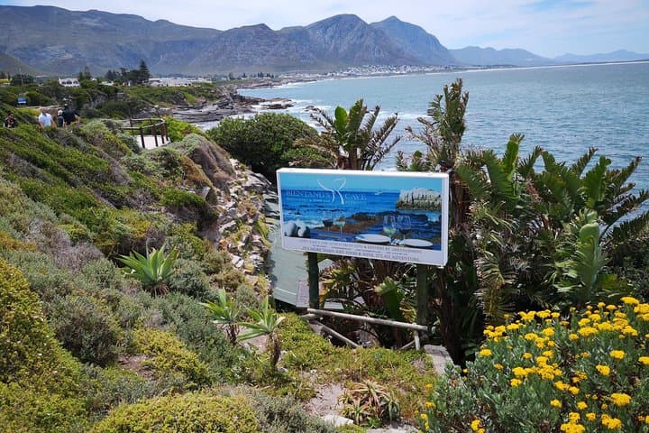 Private Whale Watching Tour from Cape Town to Hermanus (July–November) photo 4