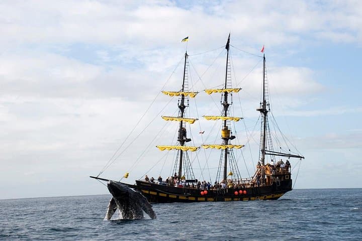 Sail the Bucaneer Queen: Whale-Watching Pirate Ship Cruise in Los Cabos photo 4