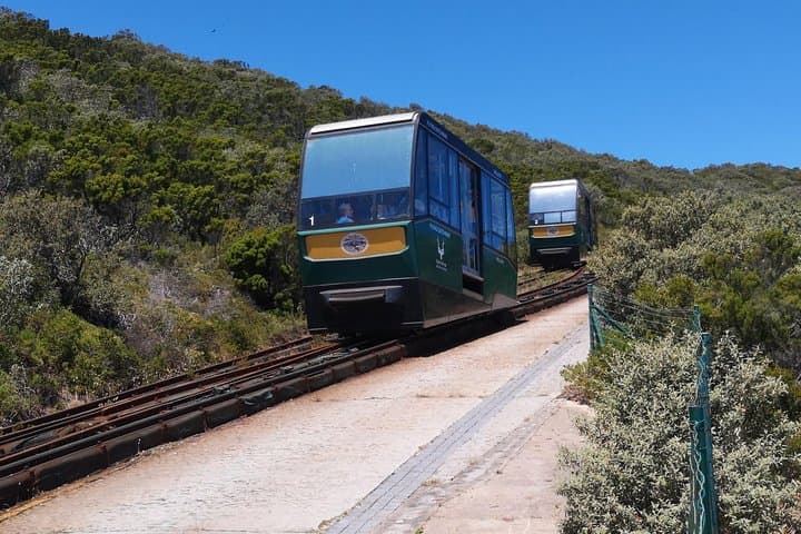 Cape of Good Hope & Penguins Private Day Tour from Stellenbosch photo 4