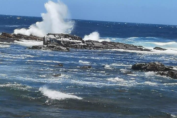 Cape of Good Hope & Penguins Private Day Tour from Stellenbosch photo 5