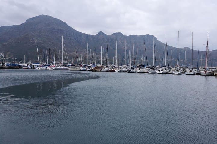 Full-Day Panoramic Cape Town & Constantia Wine Route Private Tour photo 4