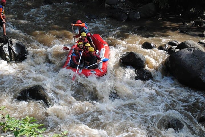 Ayung River White-Water Rafting from Ubud: 11km Half-Day Adventure photo 6
