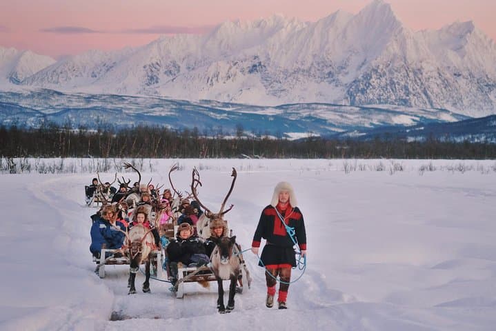 Reindeer Sledding & Sami Culture in Tromso: Reindeer Feeding Experience photo 2
