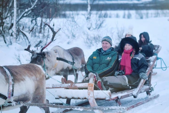 Reindeer Sledding & Sami Culture in Tromso: Reindeer Feeding Experience photo 3