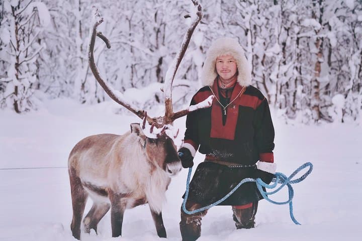 Reindeer Sledding & Sami Culture in Tromso: Reindeer Feeding Experience photo 4