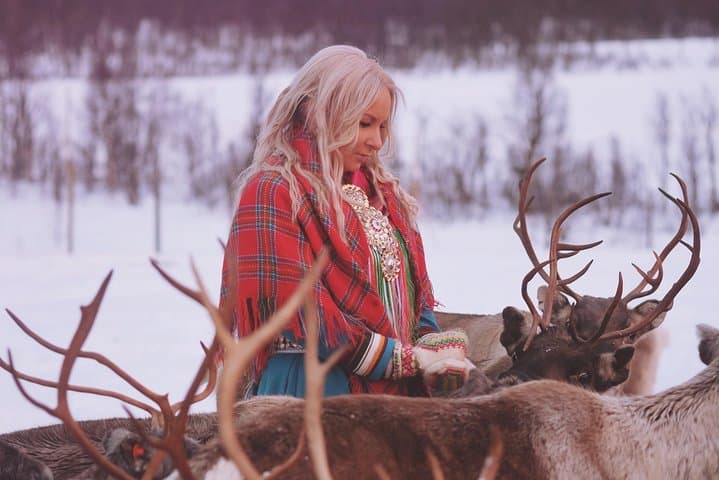 Reindeer Sledding & Sami Culture in Tromso: Reindeer Feeding Experience photo 6