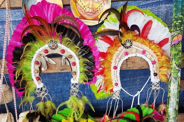 Meeting of the Waters & Indigenous Village: Full-Day Amazon Speedboat Adventure from Manaus