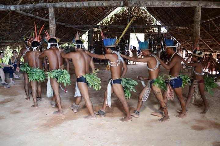 Meeting of the Waters & Indigenous Village: Full-Day Amazon Speedboat Adventure from Manaus photo 4