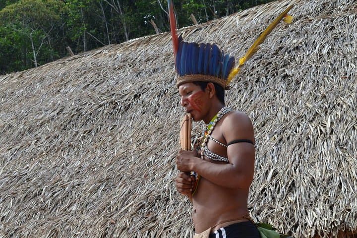 Meeting of the Waters & Indigenous Village: Full-Day Amazon Speedboat Adventure from Manaus photo 5