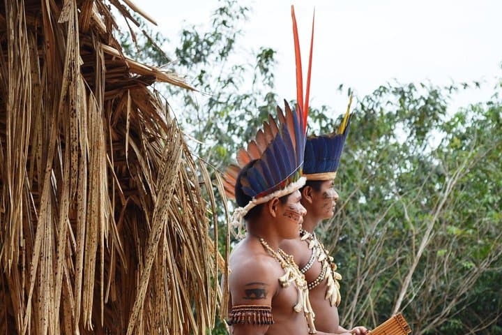 Meeting of the Waters & Indigenous Village: Full-Day Amazon Speedboat Adventure from Manaus photo 6