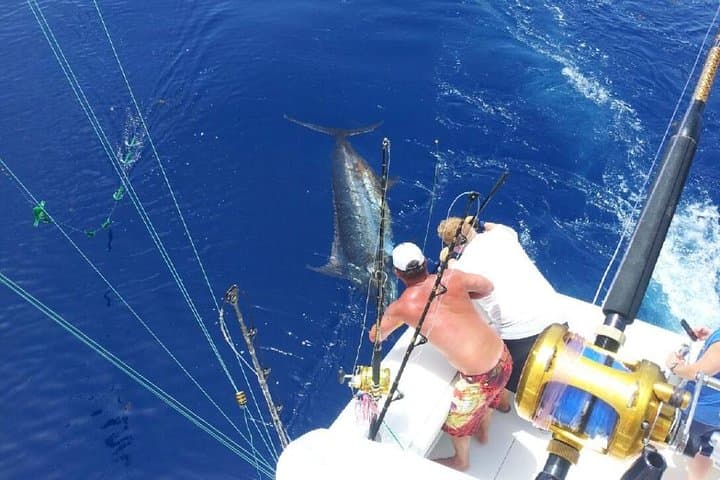 Punta Cana Deep Sea Fishing in Cabeza de Toro: 4-Hour Trolling Adventure photo 1