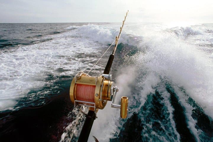 Punta Cana Deep Sea Fishing in Cabeza de Toro: 4-Hour Trolling Adventure photo 4