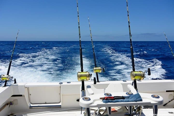 Punta Cana Deep Sea Fishing in Cabeza de Toro: 4-Hour Trolling Adventure photo 3
