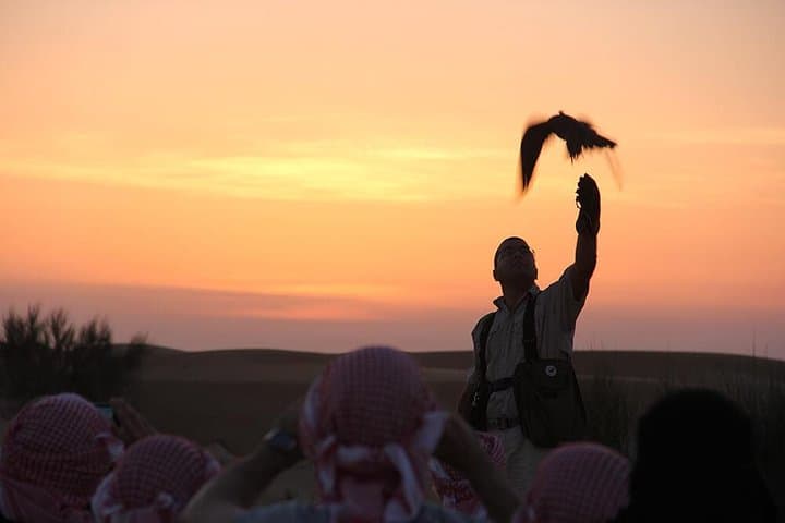 Desert Falconry at Sunset: Private Falcon Show & Bedouin BBQ in Dubai photo 3