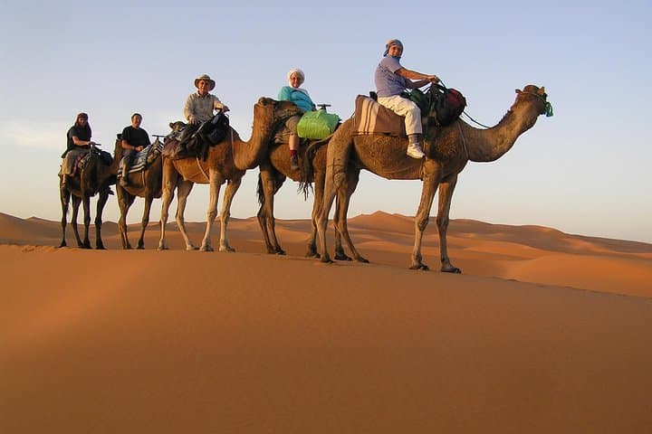 Dubai Desert Camel Caravan & BBQ Dinner Experience photo 4