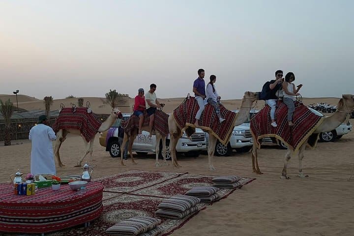 Dubai Desert Camel Caravan & BBQ Dinner Experience photo 3