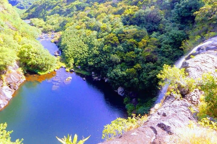 Sky to Sea: Guided Hike at Tamarind Falls and North Coast Beach Hopping photo 4