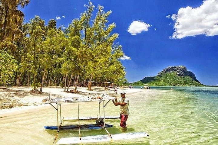 Swim with Wild Dolphins and Benitiers Island — Mauritius Dolphin and Snorkel Day Trip photo 4