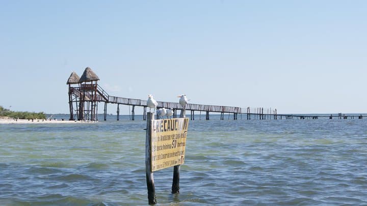 Holbox Island Private Day Tour from Riviera Maya & Cancun photo 6
