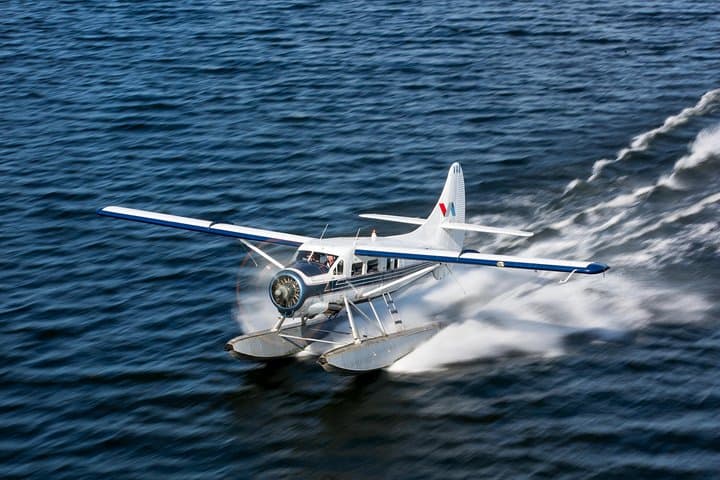 Seaplane Over Mt Tarawera: 30-Min Floatplane Scenic Flight from Rotorua photo 2