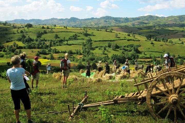 Kalaw One-Day Trek: Scenic Shan Valley Trek from Kalaw