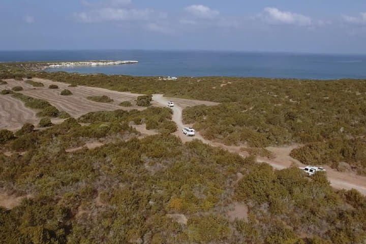 Akamas 4x4 Safari and Blue Lagoon Cruise from Paphos photo 5