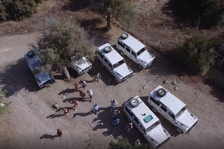 Half-Day Akamas 4x4 Safari: Avakas Gorge & Lara Bay Turtle Visit photo 5