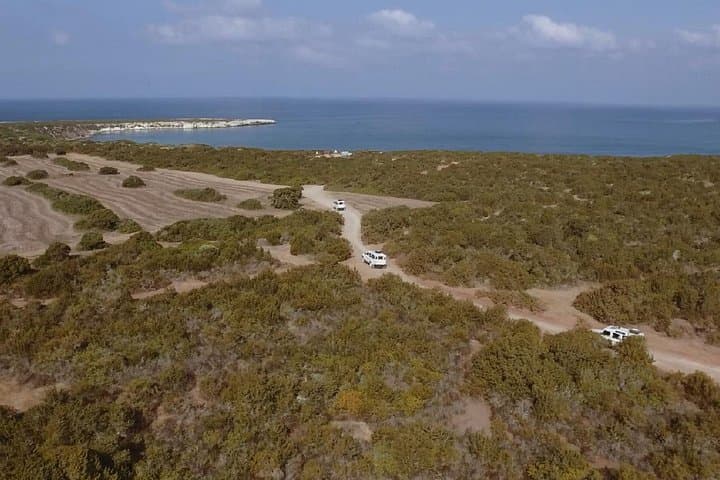 Akamas Peninsula 4x4 and Blue Lagoon Cruise — Day Tour from Aphrodite Hills photo 4