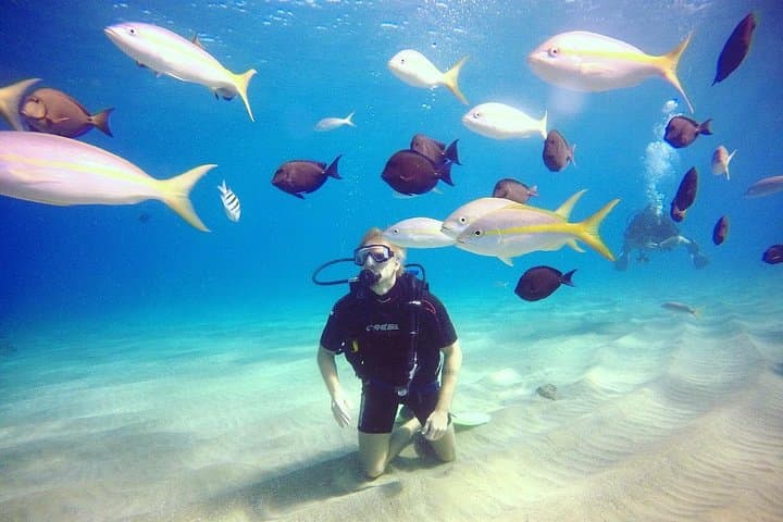 First Breath Underwater: Discover Scuba Diving in Sosúa Bay