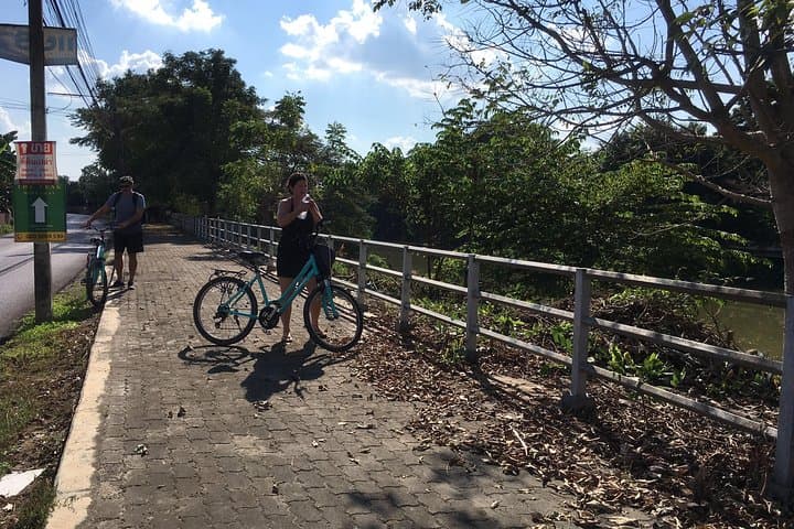 Chiang Mai Paradise Full-Day Cycling Adventure: Ride Riverside Villages & Rice Fields photo 3