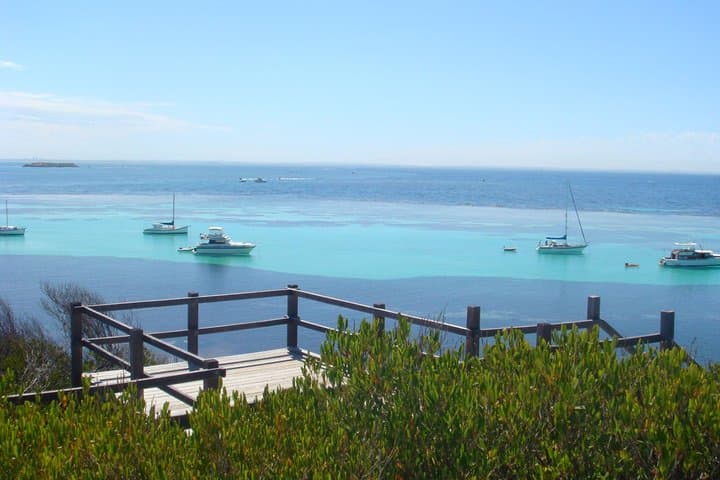 Rottnest Bayseeker Bus Tour: 90-Min Guided Island Loop from Hillarys photo 3