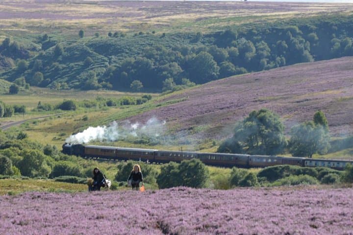 York to Whitby Steam Train & North York Moors: Full-Day Scenic Tour photo 2