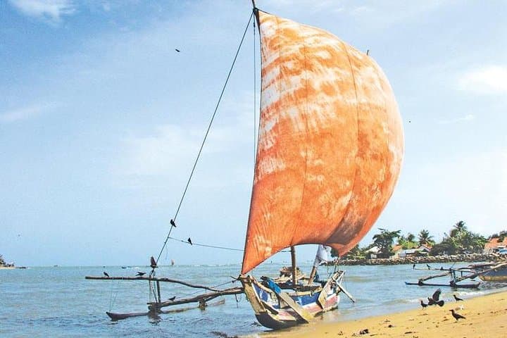 Negombo and Colombo Day Tour with Homemade Seafood Lunch photo 2