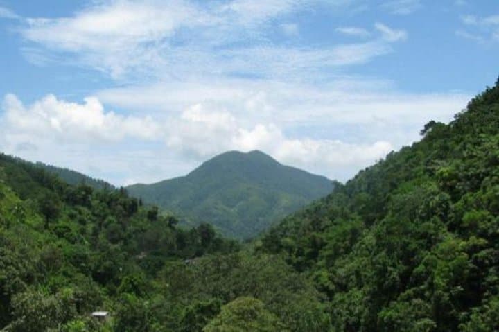 Blue Mountain Bicycle Tour from Runaway Bay — Ride Through Jamaica’s Coffee Country