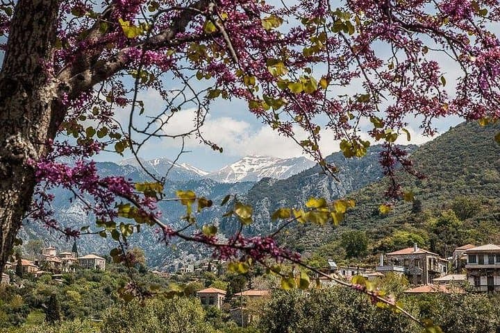 Hiking Around Kardamyli: Taygetos Foothills, Coast & Mani Villages photo 2