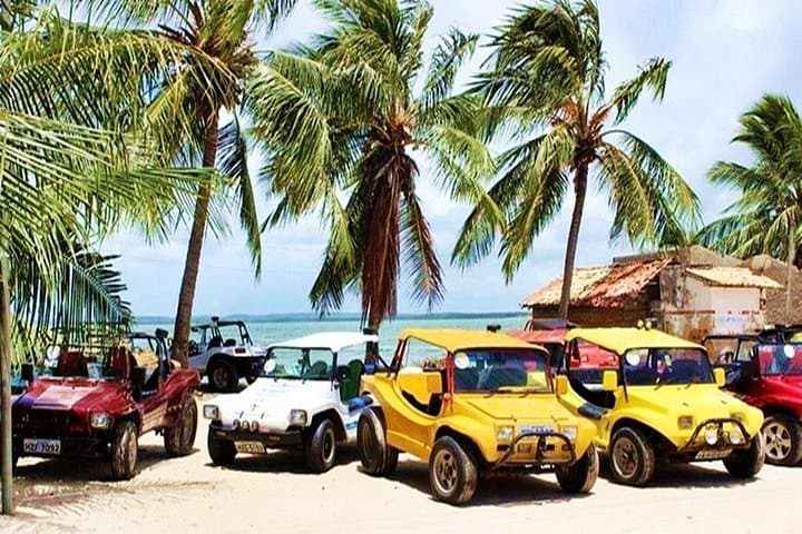 Mangue Seco Dunes and Beach: Full-Day Adventure from Salvador photo 2