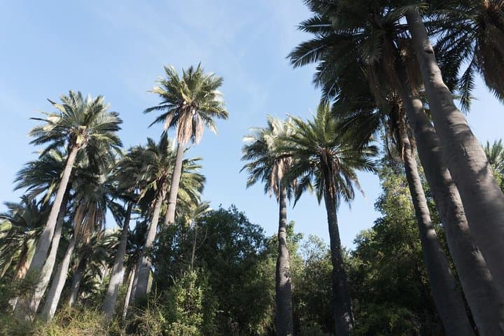 La Campana Day Hike: Private Coastal Mountains Tour from Santiago photo 1