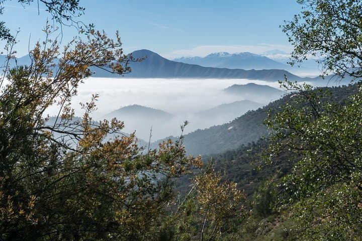 La Campana Day Hike: Private Coastal Mountains Tour from Santiago photo 2