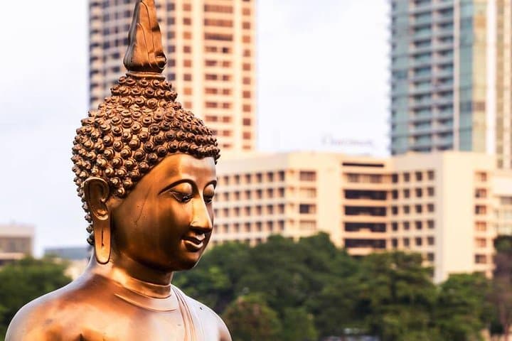 Colombo City Tour from Negombo — Half-Day Private Highlights of Colombo photo 3