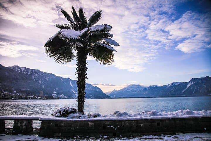 Winter Day Trip from Geneva: Montreux, Chillon Castle & Chaplin's World photo 6