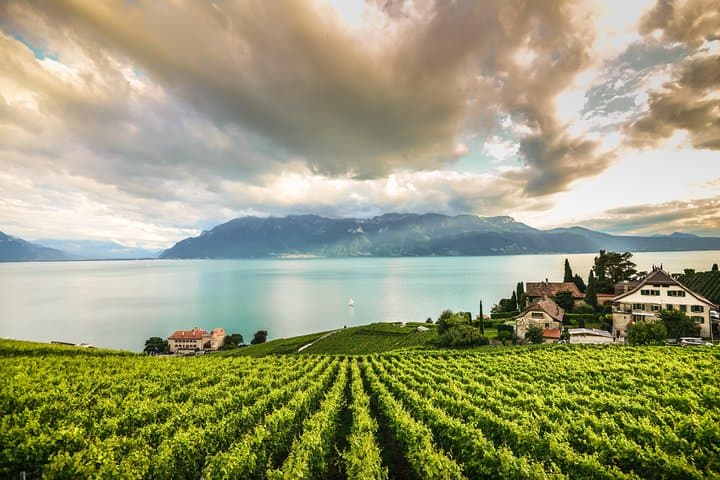Chillon Castle & Chaplin’s World: Lavaux Vineyards and Lake Geneva Cruise from Lausanne photo 2